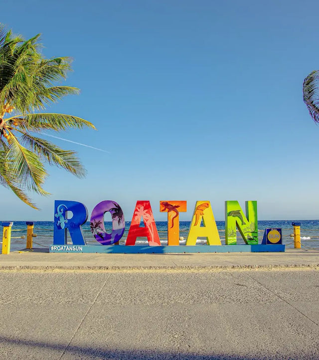 Las mejores cosas que hacer en Roatán: guía 2026 para quienes se quedan a dormir