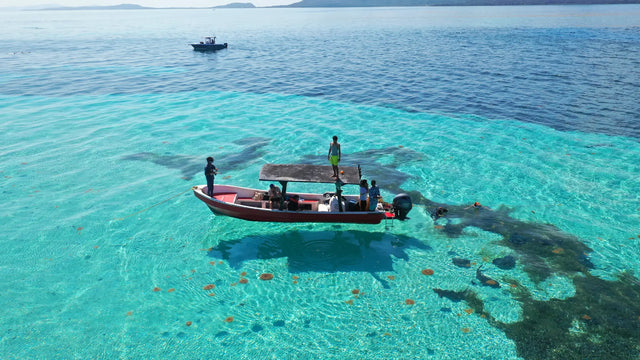Las mejores excursiones de crucero en Roatán: tours en tierra para pasajeros de crucero
