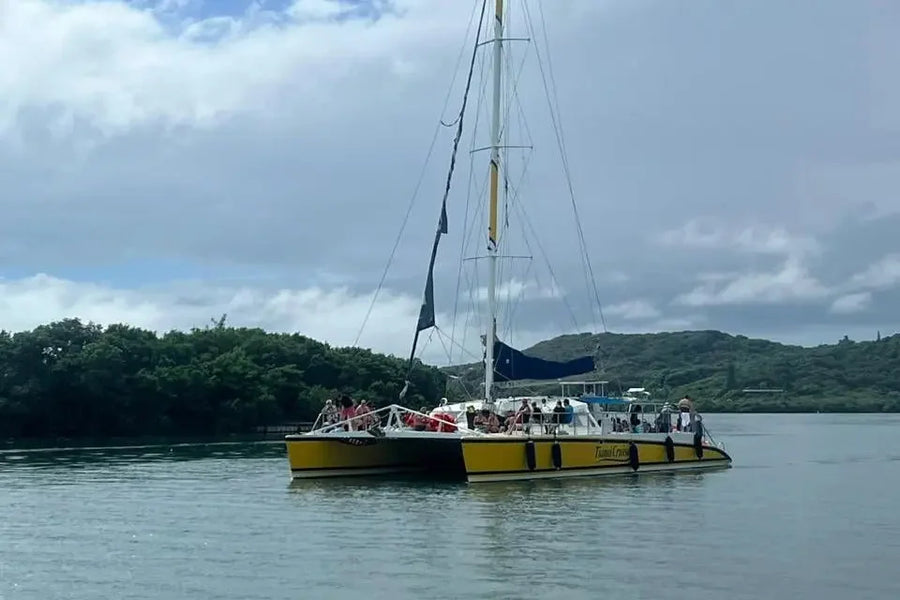 Sunset Catamaran Cruise