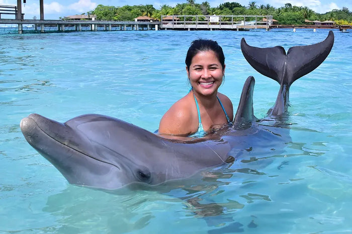 Encuentro con Delfines