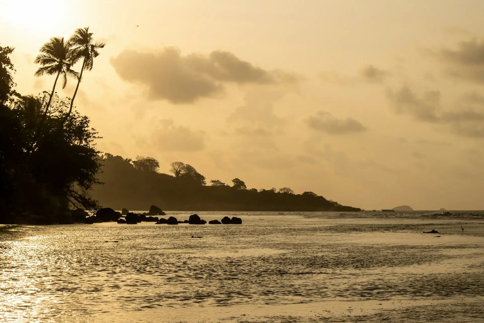 Planea tu viaje a Roatán en un solo mensaje.