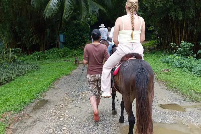 Paseo a Caballo