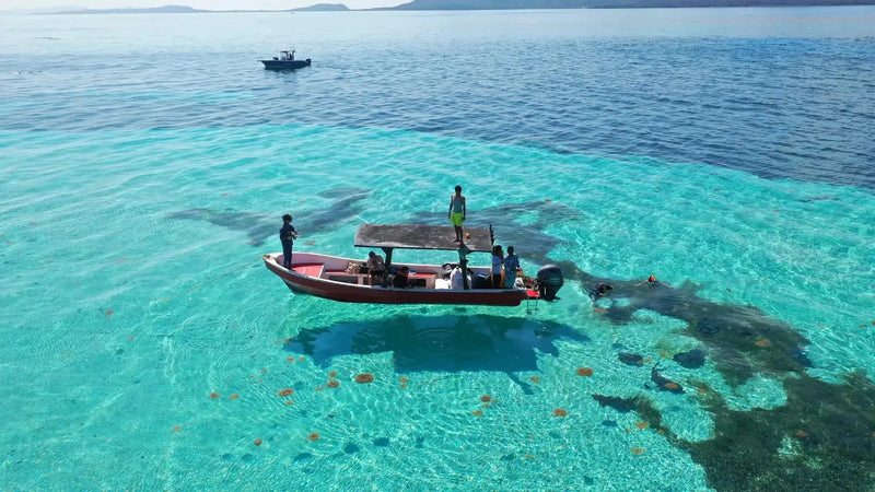 Tours y day passes en Roatán